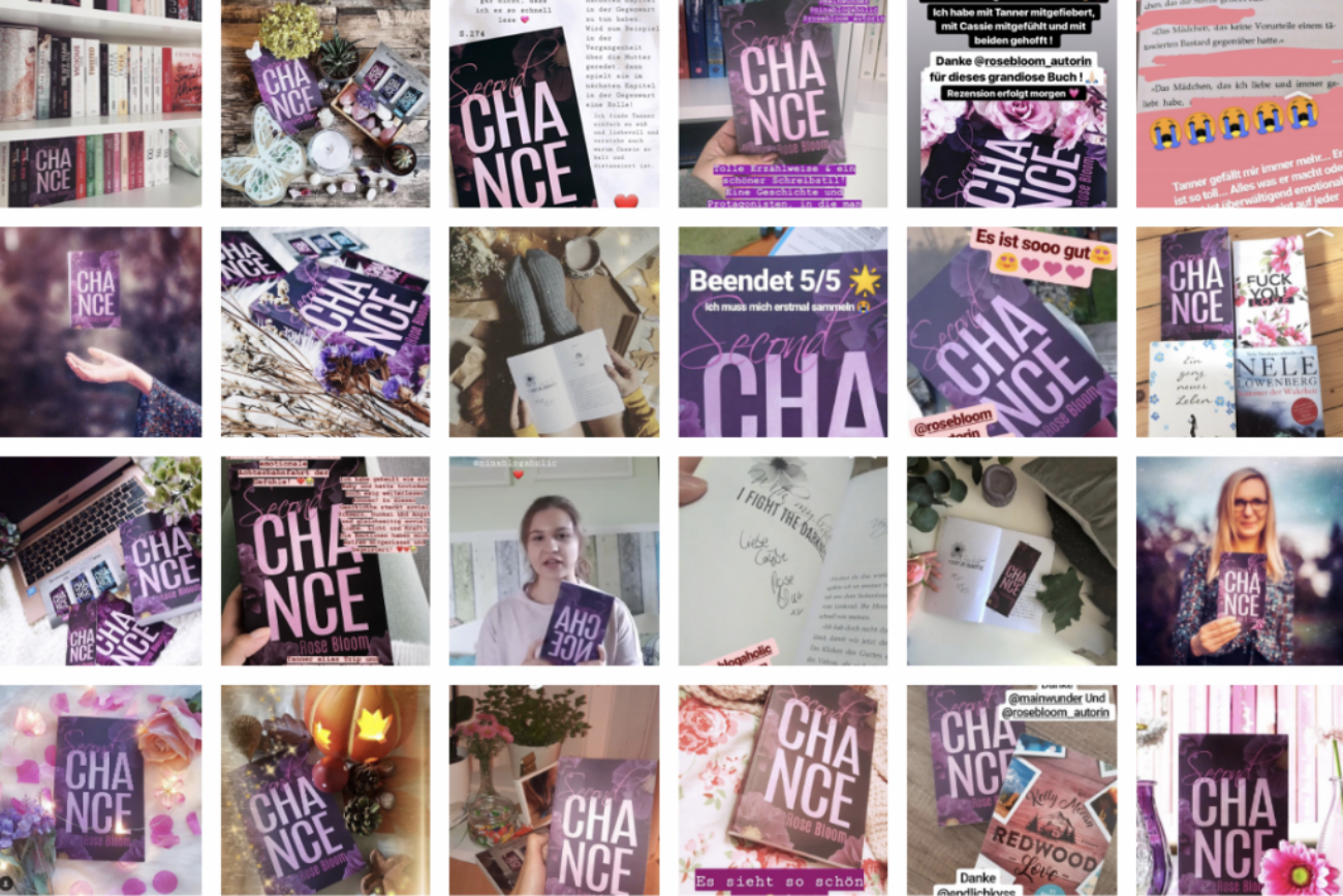 Kampagne Rose Bloom